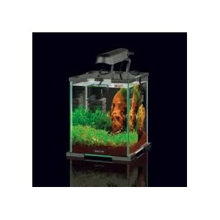 Zolux Nanolife Cube 20 Lts Titanium